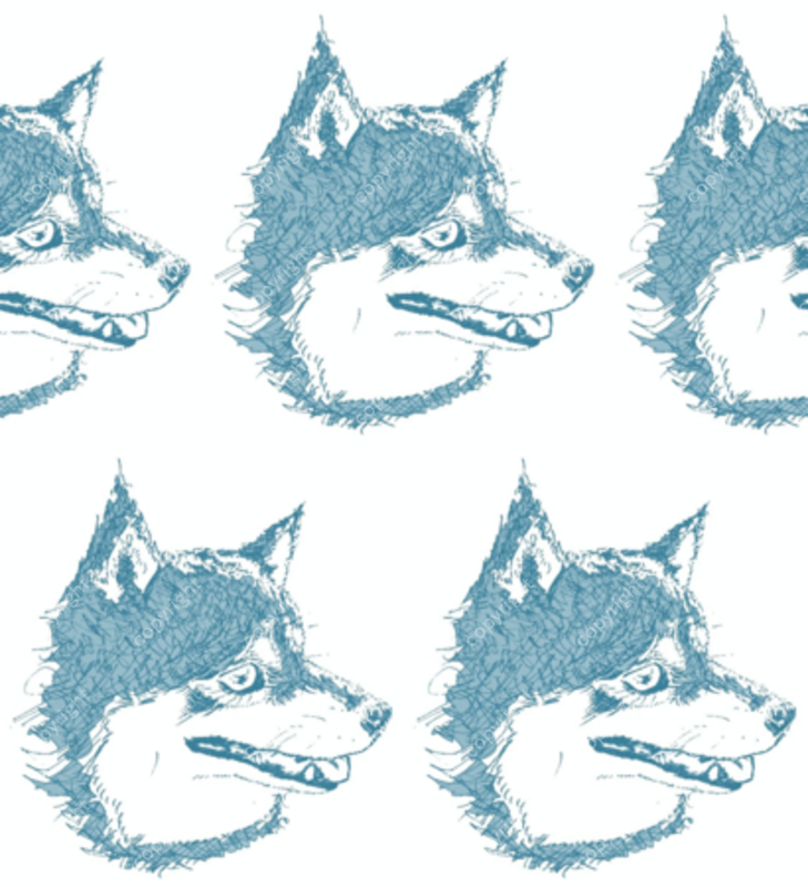 design image