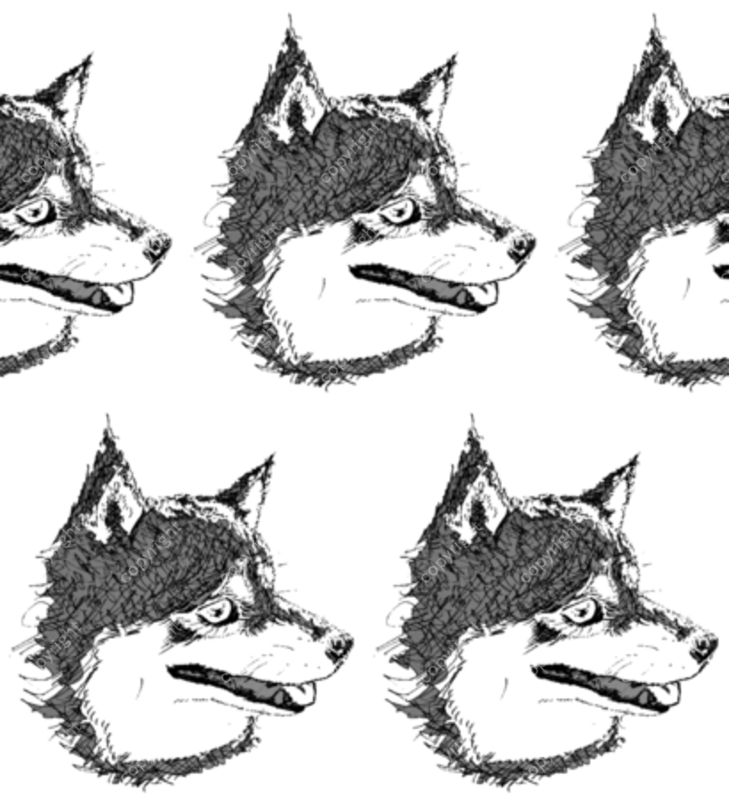 design image