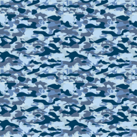 CAMOUFLAGE_1