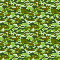 CAMOUFLAGE_2