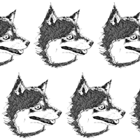 Kuroshiba052304