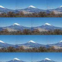 冬に映える富士山