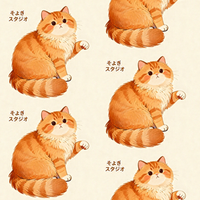 そよぎスタジオの看板猫